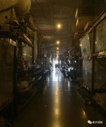 以及正在保守文化生成根源上的研究、